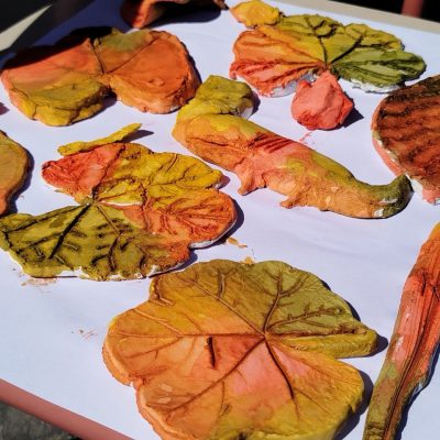 formazione-6-11-anni-08